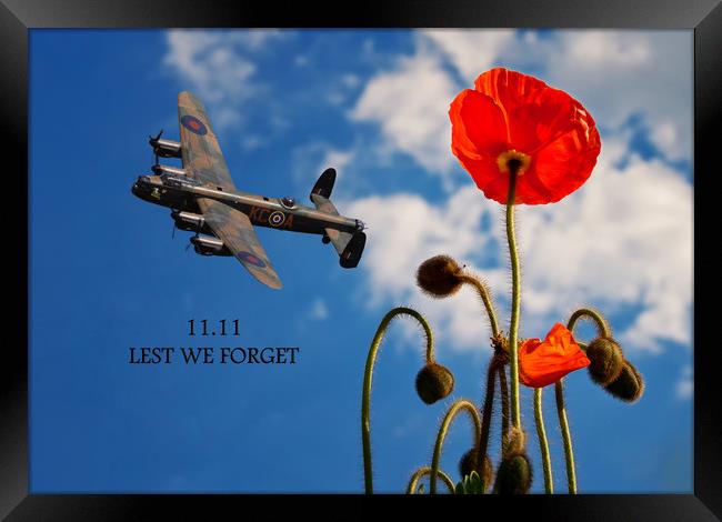 We will Remember Framed Print by Stephen Ward
