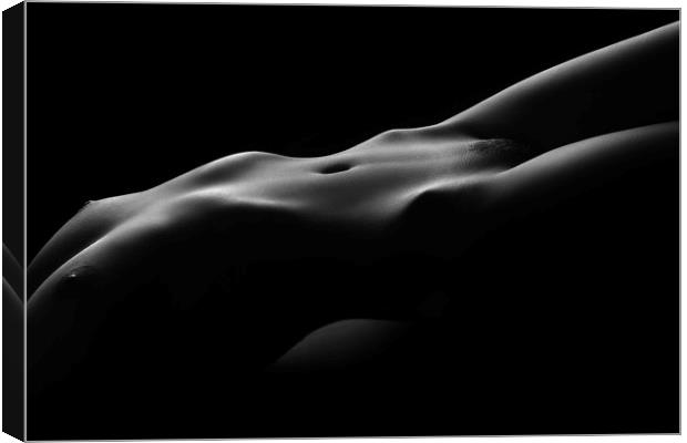 Bodyscape nude woman Canvas Print by Johan Swanepoel