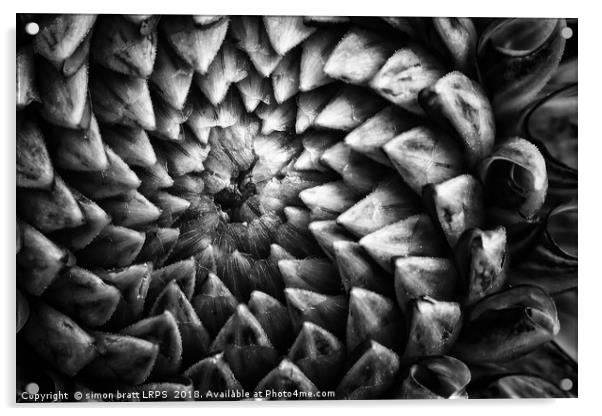 Monochrome dahlia flower head pattern Acrylic by Simon Bratt LRPS