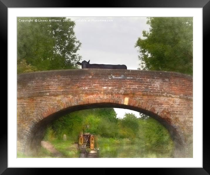Cow on a Bridge over the Grand Union Canal Framed Mounted Print by Linsey Williams