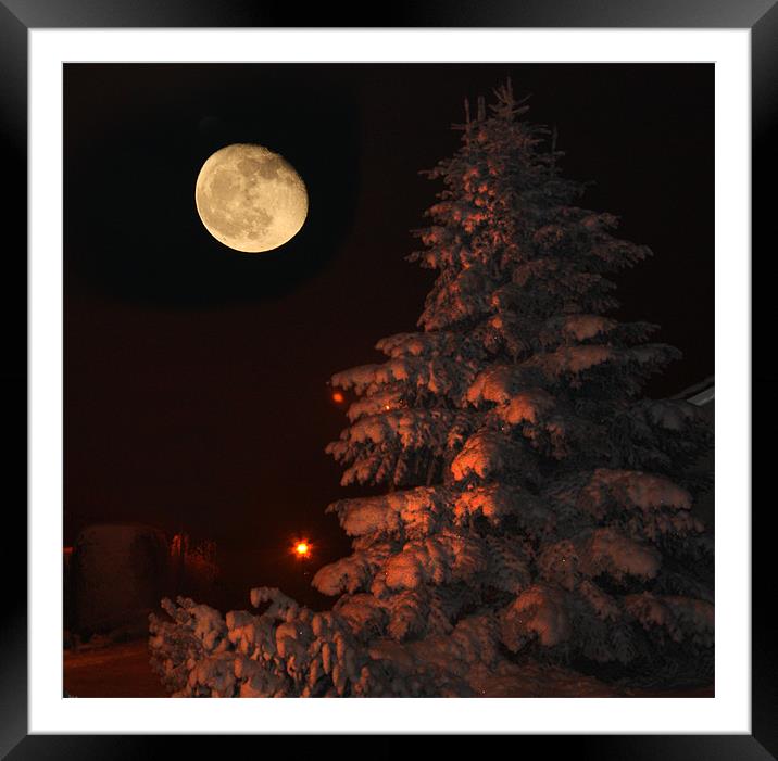 Winter moonrise Framed Mounted Print by David McFarland