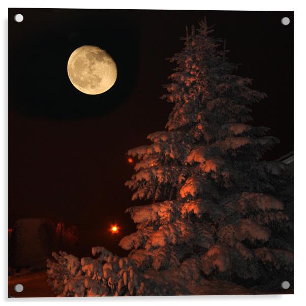 Winter moonrise Acrylic by David McFarland