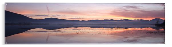 Cerknica lake at dawn, Notranjska, Slovenia Acrylic by Ian Middleton
