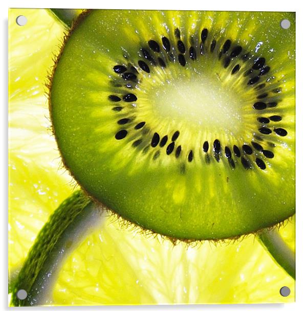 Kiwi and Slice Acrylic by Stuart Reid