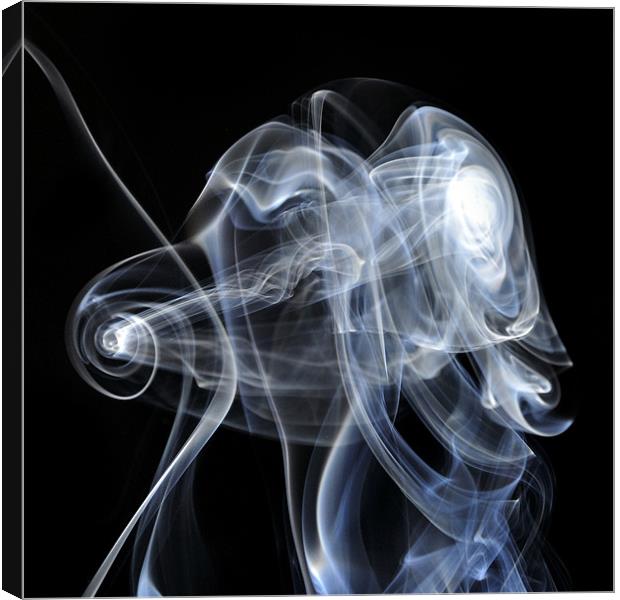 Smoke 5 Canvas Print by Stuart Reid