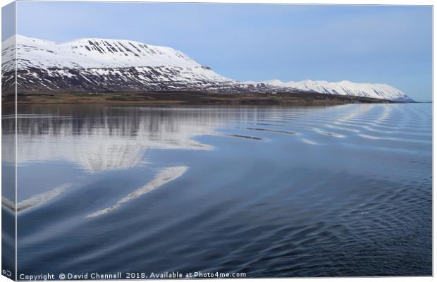 Iceland Coastline Canvas Print by David Chennell