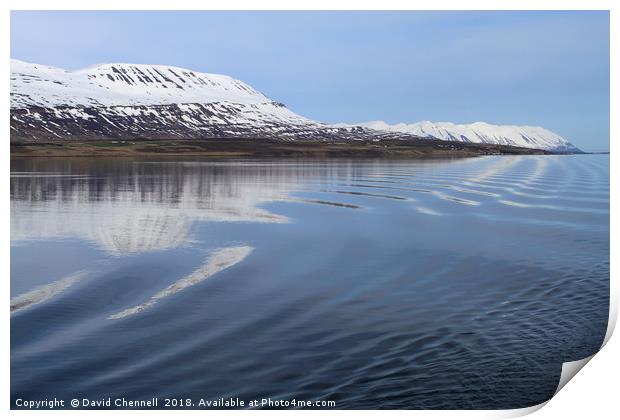 Iceland Coastline Print by David Chennell