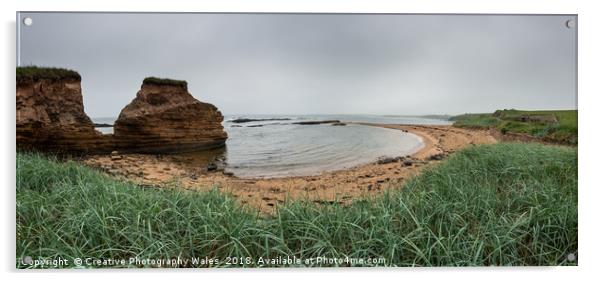 Cullernose Point Panorama on the Northumberland Co Acrylic by Creative Photography Wales