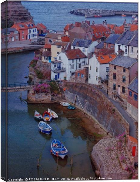 "Evening Light on Staithes Harbour" Canvas Print by ROS RIDLEY