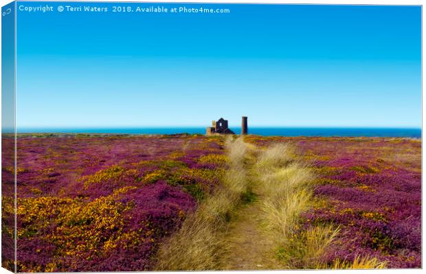 The Path To Wheal Coates Canvas Print by Terri Waters