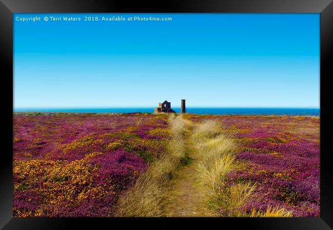 The Path To Wheal Coates Framed Print by Terri Waters