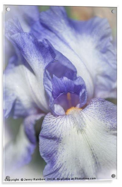 Iris Rococo Macro Acrylic by Jenny Rainbow