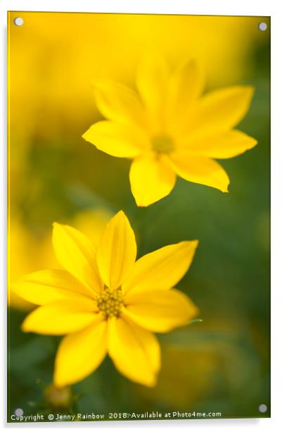 Two Flowers. Yellow Coreopsis Acrylic by Jenny Rainbow