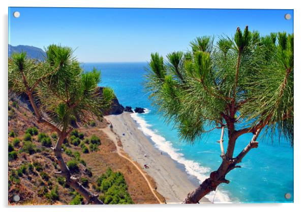 Playa de Las Alberquillas Costa del Sol Spain Acrylic by Andy Evans Photos