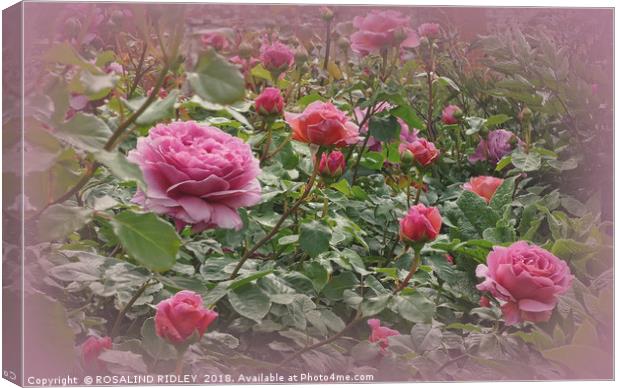 "Victorian rose garden2" Canvas Print by ROS RIDLEY
