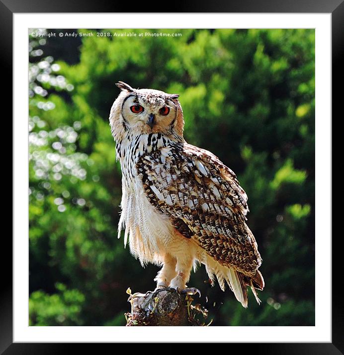 Mesmerizing MidAir Encounter Framed Mounted Print by Andy Smith