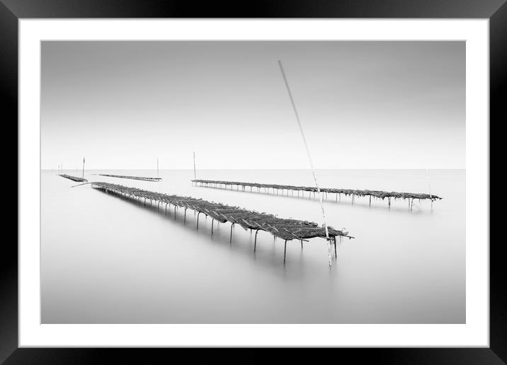 Whitstable Oysters  Framed Mounted Print by Ian Hufton