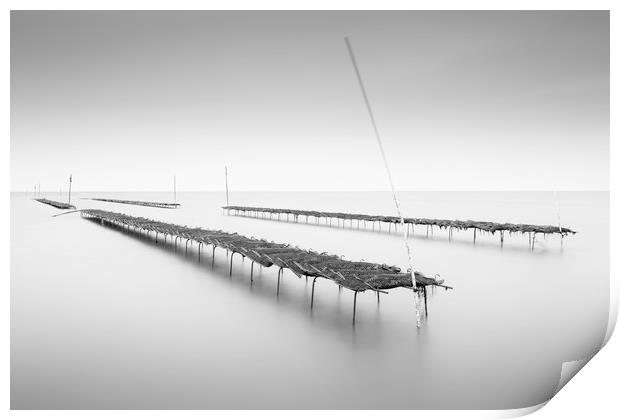 Whitstable Oysters  Print by Ian Hufton