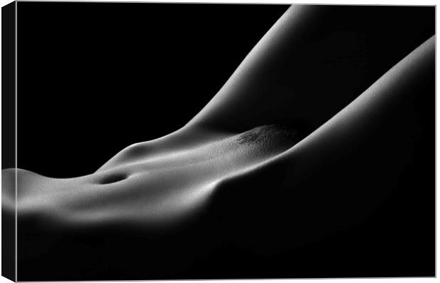 Bodyscape nude woman close-up Canvas Print by Johan Swanepoel