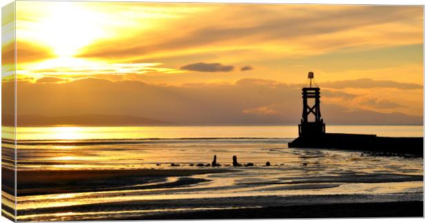Silhouettes in the sunset Canvas Print by sue davies