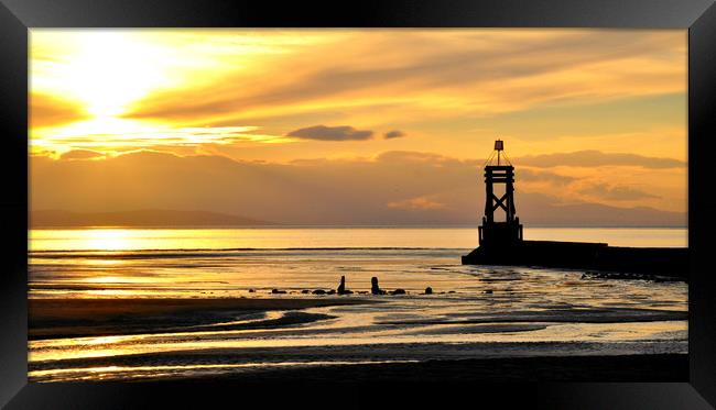Silhouettes in the sunset Framed Print by sue davies