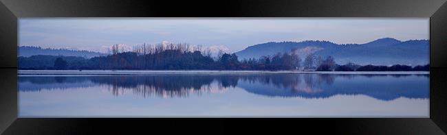 Cerknica lake at dawn with snow covered alps Framed Print by Ian Middleton