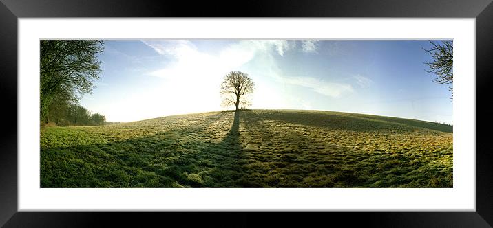 Lone Tree Panoramic Framed Mounted Print by graham young