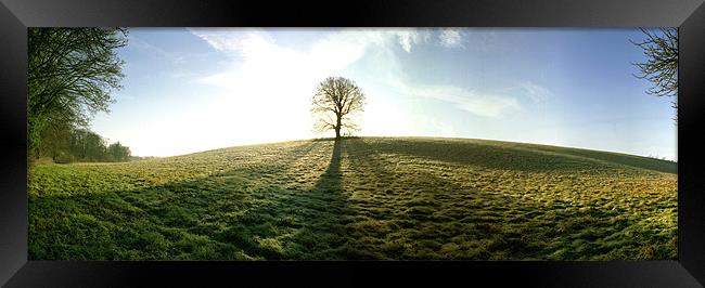 Lone Tree Panoramic Framed Print by graham young