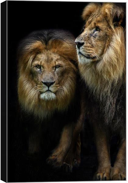 Brothers Canvas Print by Maria 