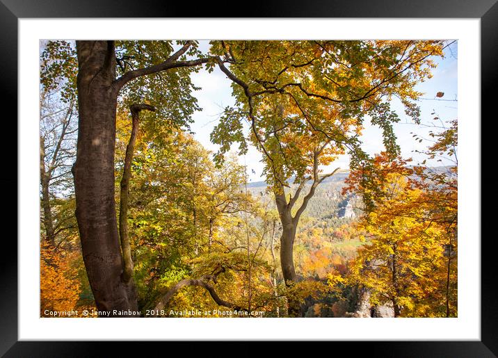 Autumnal Trees. Saxon Switzerland Framed Mounted Print by Jenny Rainbow