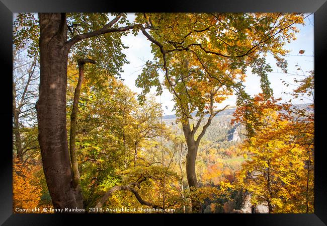 Autumnal Trees. Saxon Switzerland Framed Print by Jenny Rainbow