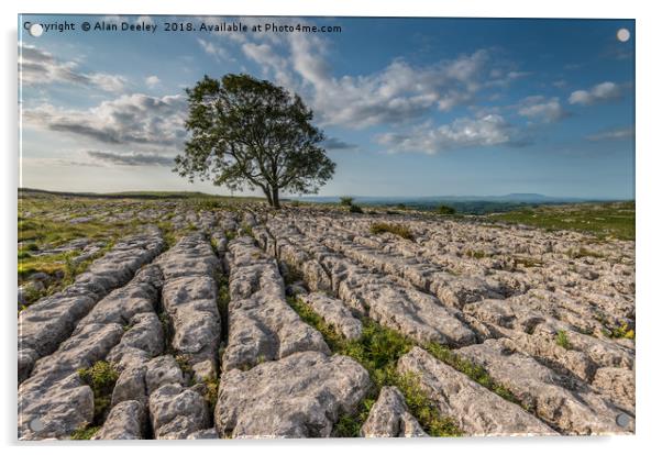 Lone tree Limestone pavement Acrylic by Alan Deeley