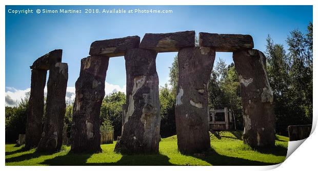 The Henge, Princes Park - Liverpool (UK). Print by Simon Martinez