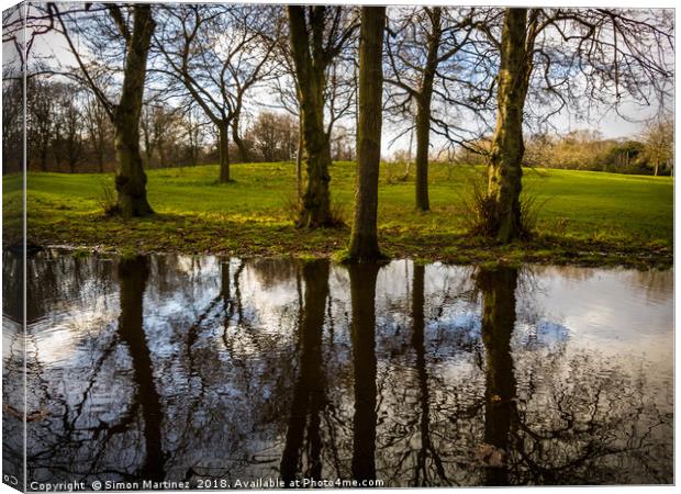 A Large Pool of Reflection Canvas Print by Simon Martinez