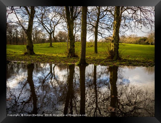 A Large Pool of Reflection Framed Print by Simon Martinez