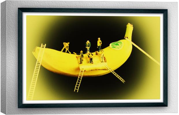 Banana Boat Mining Company Black Frame Canvas Print by Steve Purnell