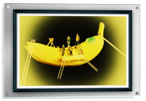 Banana Boat Mining Company Black Frame Acrylic by Steve Purnell
