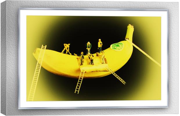 Banana Boat Mining Company Silver Frame Canvas Print by Steve Purnell