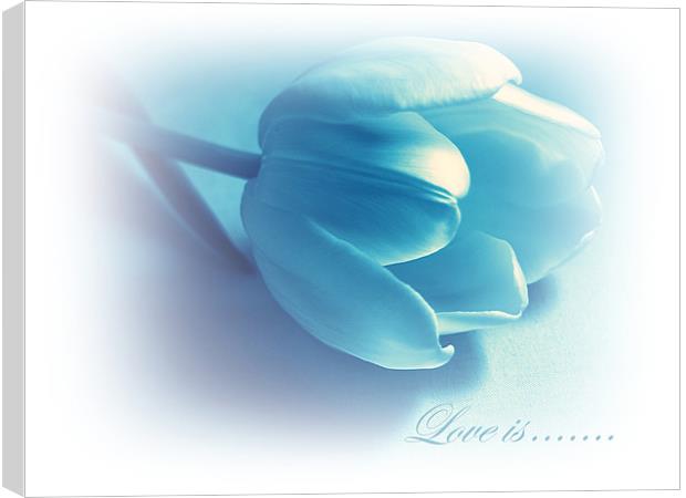 Love is..... Canvas Print by Aj’s Images