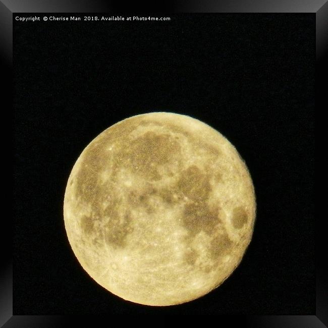 Sepia Full Moon At Night Framed Photo Print Framed Print by Cherise Man