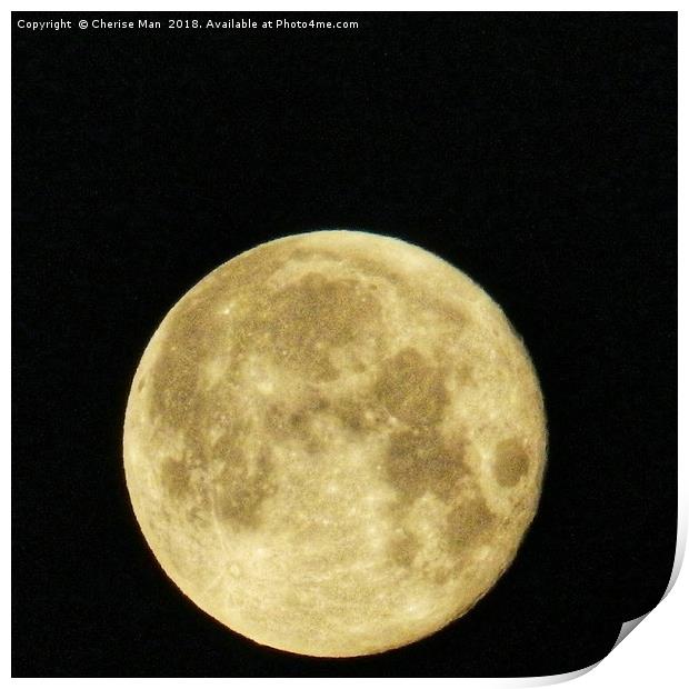 Sepia Full Moon At Night Framed Photo Print Print by Cherise Man