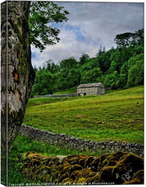 "Stone barn on the hillside 2" Canvas Print by ROS RIDLEY