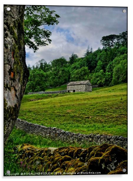 "Stone barn on the hillside 2" Acrylic by ROS RIDLEY