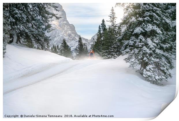Snowy scenery in the Alps mountains Print by Daniela Simona Temneanu