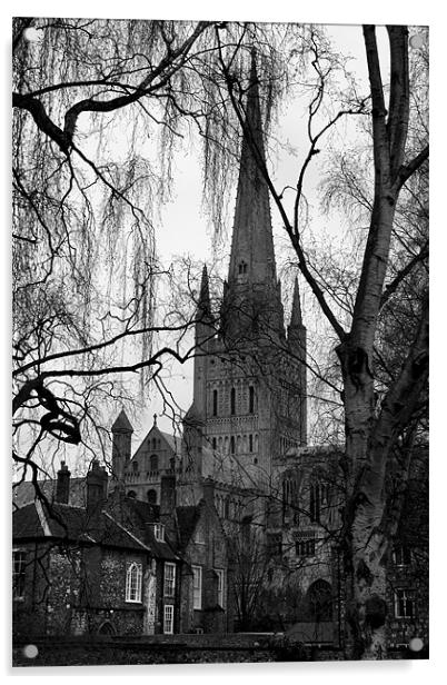 Norwich Cathedral Winter Scene Acrylic by Darren Burroughs