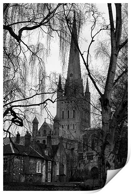 Norwich Cathedral Winter Scene Print by Darren Burroughs