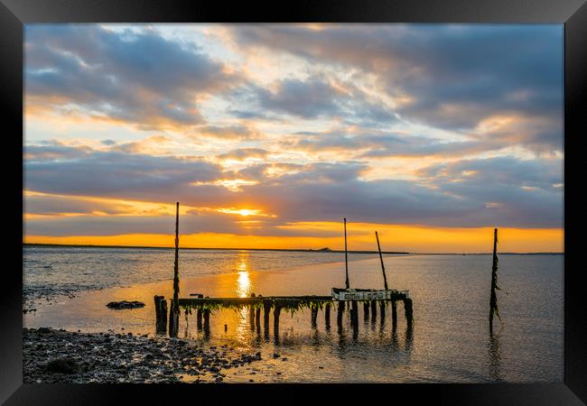 Oyster farm sunset on the Swale Framed Print by Robin Lee