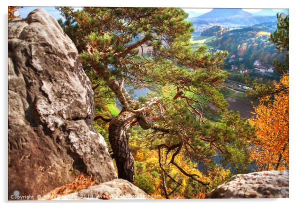 On The Edge. Saxon Switzerland Acrylic by Jenny Rainbow