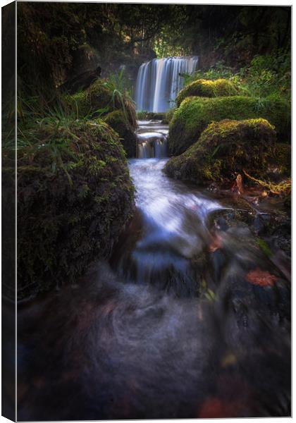 Sgwd yr Eira waterfall Canvas Print by Leighton Collins