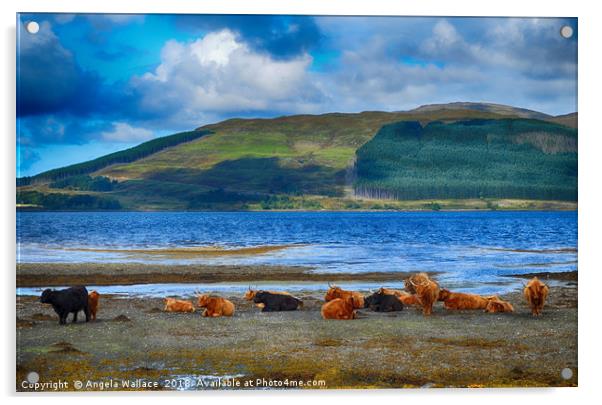 Highland Cattle on the shore                     Acrylic by Angela Wallace